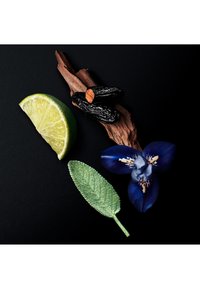 Skivad lime, svart träbit med mörka frön, grön strukturerad blad, och en blå blomma med vita mönster på en svart bakgrund.