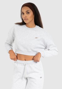 Felpa grigia chiara a vita corta con scollatura rotonda, polsini a costine e un piccolo logo. Abbinata a pantaloni di tuta grigi chiari coordinati.
