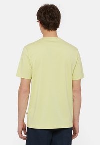 Dickies MAPLETON - Tricou basic - pale green