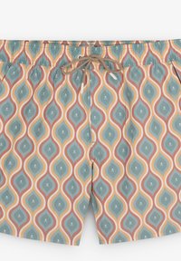 Scalpers BRIDGES - Short de bain - multicolor