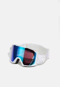 DURDEN RIG REFLECT UNISEX - Skibrille - rig aquamarine/bronco white/bronco peaks