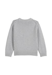Grauer Strickpullover mit Rundhalsausschnitt, gerippten Bündchen und Saum sowie einer strukturierten Oberfläche und Raglanärmeln. Rückansicht dargestellt.