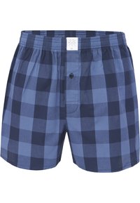 Boxer en coton avec un motif à carreaux bleus, doté d'une braguette à boutons, d'une taille élastique et d'une petite étiquette de logo.