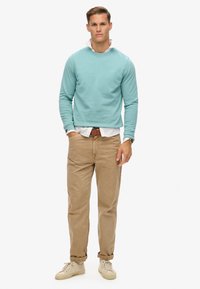 Superdry & Co CLASSIC ESSENTIAL - Sudadera - cameo blue
