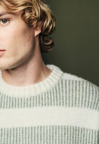 Light green and white striped knit sweater with a ribbed crew neck, featuring a textured fabric and soft appearance.