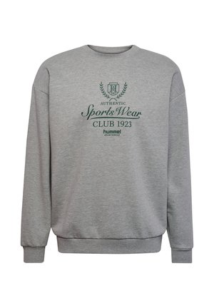 Grå hettegenser laget av mykt materiale, med rund hals, lange ermer, og grønn trykk med "Sports Wear CLUB 1923" og logo.