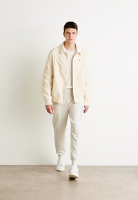 Calvin Klein HORIZONTAL LOGO SWEATPANTS - Treniņtērpa apakšdaļas - silver birch