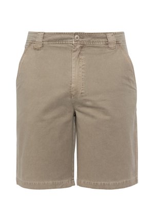 Beige Baumwollshorts mit klassischem Schnitt, Knopfverschluss, Gürtelschlaufen und Seitentaschen. Glatte Textur, schlichtes Design.