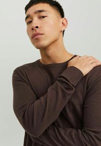 Jack & Jones JJEEMIL CREW NECK - Neule - seal brown