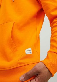 Jack & Jones JJEBASIC HOOD - Hoodie - exuberance