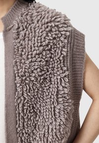 Gilet lavorato a maglia che presenta una texture morbida e shaggy da un lato e una finitura liscia e a coste dall'altro. Il colore è un taupe smorzato.