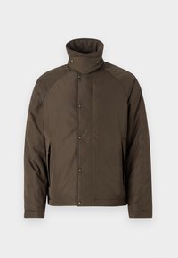 Unselected, faded olive