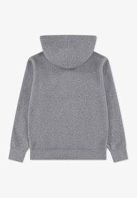 Gray sweatshirt with a hood, long sleeves, and ribbed cuffs and hem. Made from soft fabric, featuring a smooth texture and minimal design.