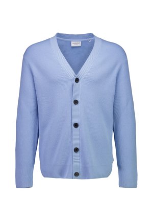 Lichtblauw geribd gebreid vest met V-hals en vijf zwarte knopen aan de voorkant, lange mouwen en een losse pasvorm.