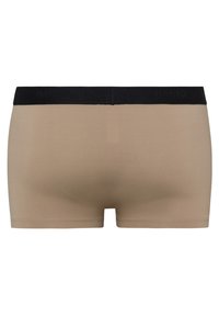 Hanro MICRO TOUCH - Boxer brief - coin