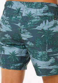 Heren zwemshorts in donkergrijs met een palmboomprint, met een elastische tailleband en lichtgewicht stof voor comfort.