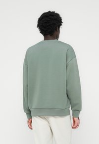 Light green sweatshirt made of cotton, featuring a crew neck, long sleeves, and ribbed cuffs and hem. Smooth texture with a relaxed fit.
