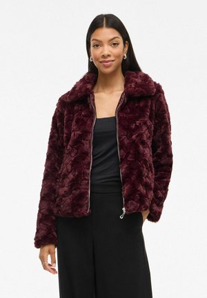 VIDORTE - Veste d'hiver - fig