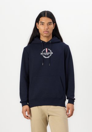 GLOBAL STRIPE WREATH TEE HOODY - Hættetrøje - desert sky