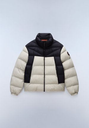 Napapijri MOLVENO - Winter jacket - will gray