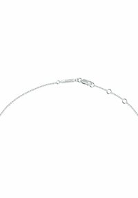 Silverfärgad kedjehalsband med en enkel design, utrustad med ett lås och en logotag, bestående av länkade ovala och runda kedjedelar.