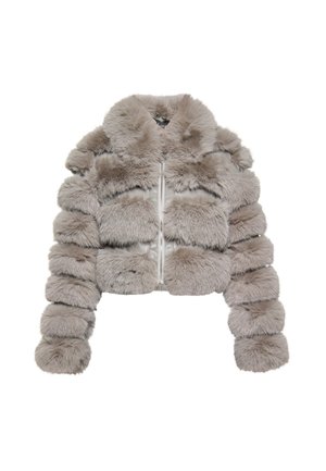 Jachetă scurtă din blană sintetică de culoare gri deschis. Panouri pluşate orizontale, guler înalt și fermoar frontal. Prezintă o textură moale și mâneci rotunjite.