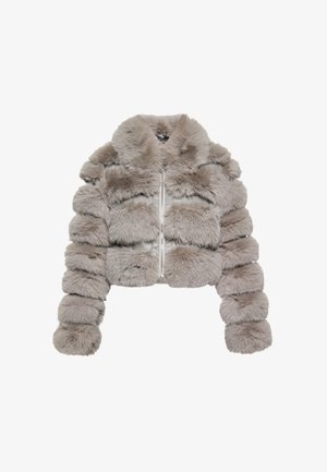 Veste cropped en fausse fourrure de couleur gris clair. Panneaux en peluche horizontaux, col haut et fermeture éclair à l'avant. Présente une texture douce et des manches arrondies.