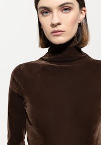 Brown velvet turtleneck top with long sleeves, featuring a smooth texture and fitted design, highlighting the neckline and soft sheen.