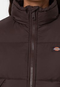 Dickies Zimní bunda - dark brown
