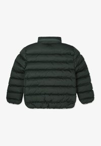 Lacoste PUFFER - Vinterjakke - sinople