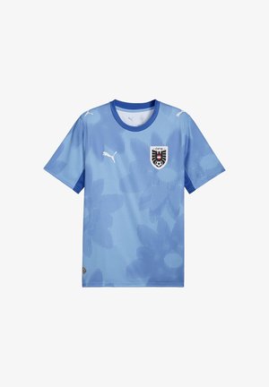 Puma, Squadra nazionale - blau