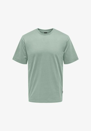 Ανοιχτό πράσινο μπλουζάκι με λαιμόκοψη, φτιαγμένο από μαλακό ύφασμα, κοντά μανίκια, κανονική εφαρμογή, λεία υφή, με μια μικρή ετικέτα στη χαμηλή πλευρά.