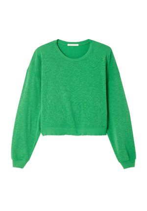 Grünes, langärmeliges Cropped-Sweatshirt mit Rundhalsausschnitt sowie gerippten Bündchen und Saum, auf weißem Hintergrund dargestellt.