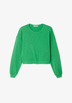 Grünes, langärmeliges Cropped-Sweatshirt mit Rundhalsausschnitt sowie gerippten Bündchen und Saum, auf weißem Hintergrund dargestellt.