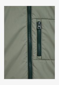 Nepasirinkta, dark green