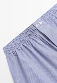 Boxer con fascia elastica a righe blu e bianche e due bottoni bianchi sulla chiusura anteriore.