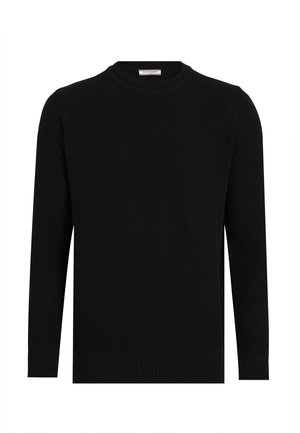 CLASSIC CREW NECK SWEATER - Maglione - black
