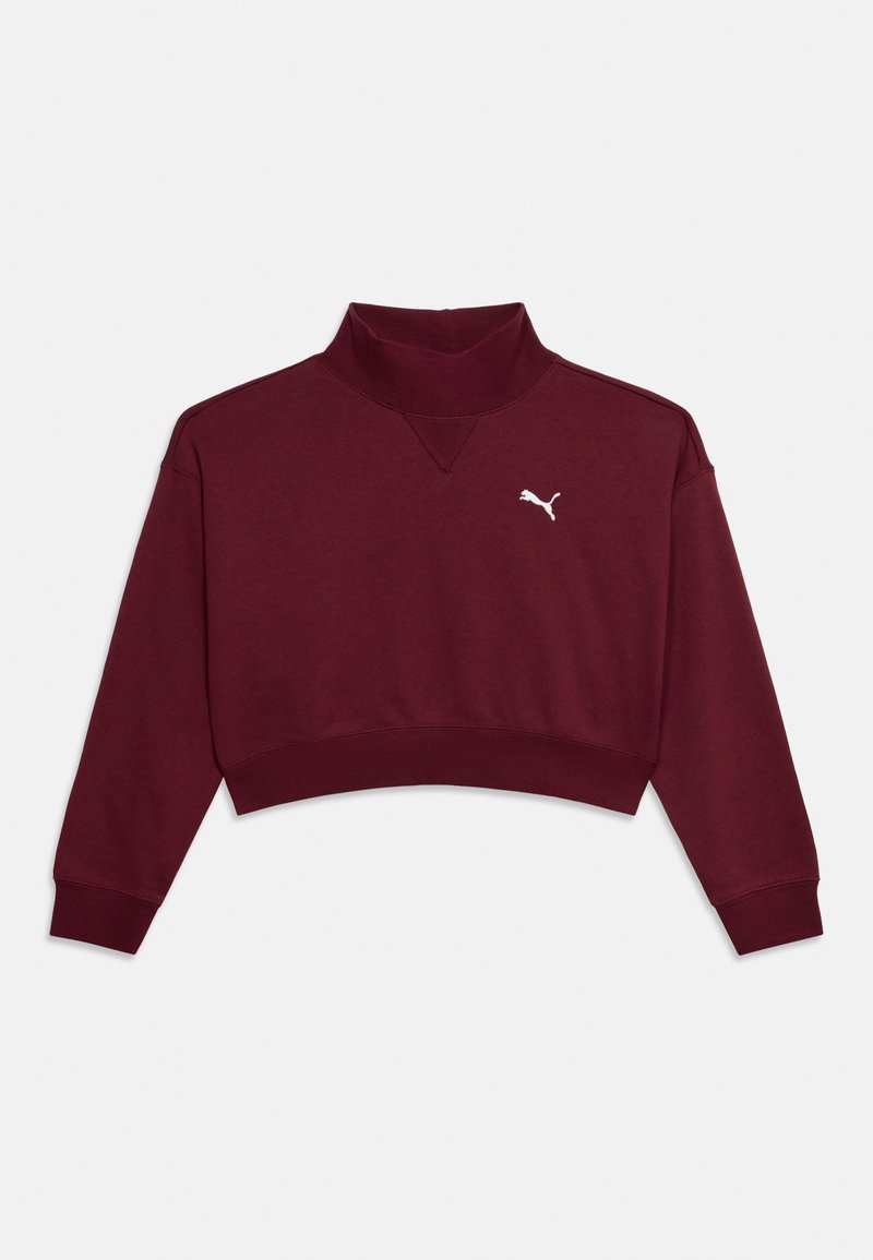 Puma Sweater rood Puma Sweater rood