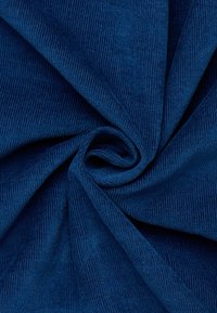 Tessuto in velluto a coste blu scuro, caratterizzato da righe verticali, disposto a spirale, che mette in evidenza la sua morbidezza e resistenza.