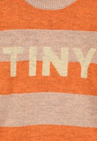 Gestreiftes Sweatshirt in Orange und Beige mit dem Wort "TINY" in Hellgelb, kurzen Ärmeln und einem Rundhalsausschnitt. Weicher, strukturierter Stoff.