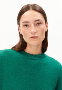 Grüner, gestrickter Pullover mit Rundhalsausschnitt, ausgestattet mit einem gerippten Kragen und einem strukturierten Stoff. Einfache Gestaltung, keine sichtbaren Muster oder Akzente.