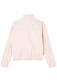Dickies PORT ALLEN - Felpa in pile - peach whip