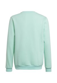 Mintgroene sweatshirt, ronde hals, geribbelde boorden en zoom. Zachte textuur, eenvoudig ontwerp, achterkant zonder extra patronen of details.