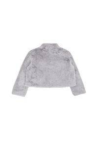 Giacca in pelliccia sintetica grigia con colletto alto, maniche lunghe e design corto. La texture è morbida e pelosa con un colore uniforme.