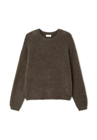 Pull marron et duveteux avec un col rond et des manches longues. Fabriqué à partir d'un matériau doux, il présente une coupe décontractée et un design minimaliste.