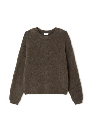 Pull marron et duveteux avec un col rond et des manches longues. Fabriqué à partir d'un matériau doux, il présente une coupe décontractée et un design minimaliste.
