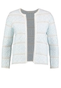 Ljusblå, strukturerad kofta med intrikata mönster och vita accenter, med rund halsringning och öppen framsida.