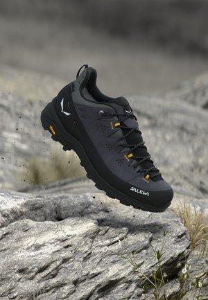 Salewa ALP TRAINER 2 GTX - Zapatillas de senderismo - onyx/black