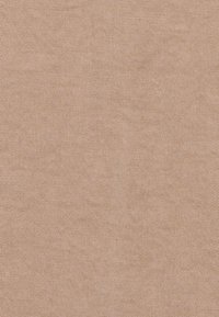 Beige fabric with a fine, textured weave. The surface has a smooth appearance, suitable for various textile applications.