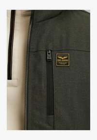 Izbrano, climbing ivy